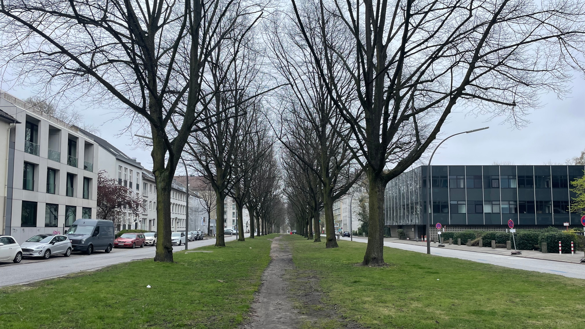 Baumkontrolle in Hamburg