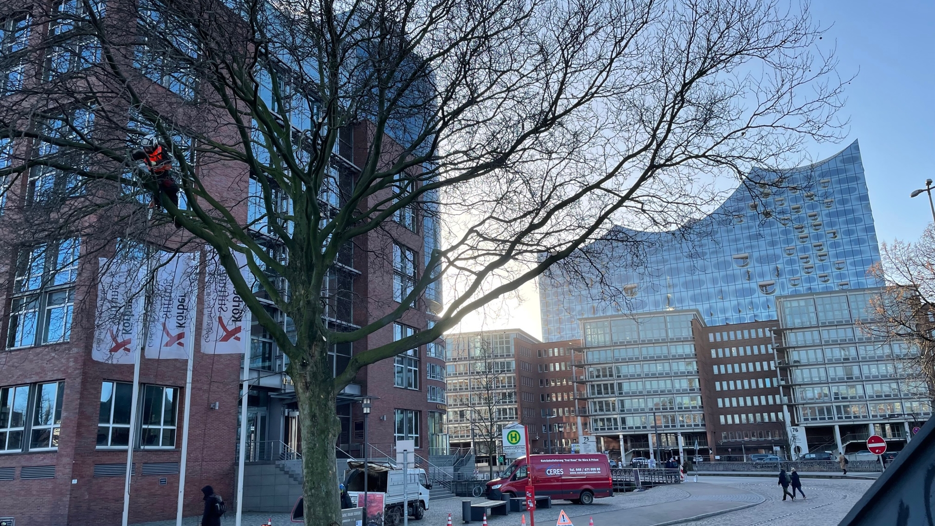 Elbphilharmonie