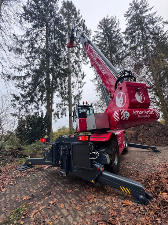 Baumfällung in Hamburg